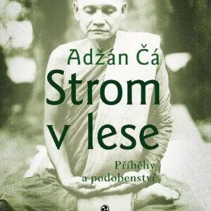 Strom v lese